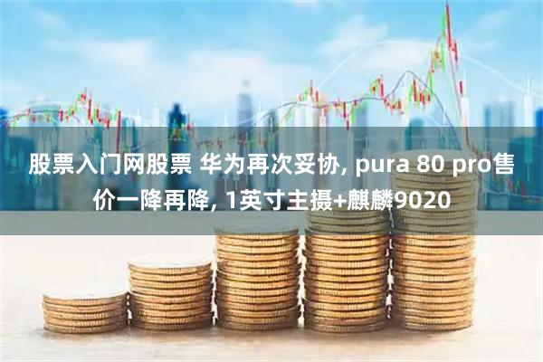 股票入门网股票 华为再次妥协, pura 80 pro售价一降再降, 1英寸主摄+麒麟9020