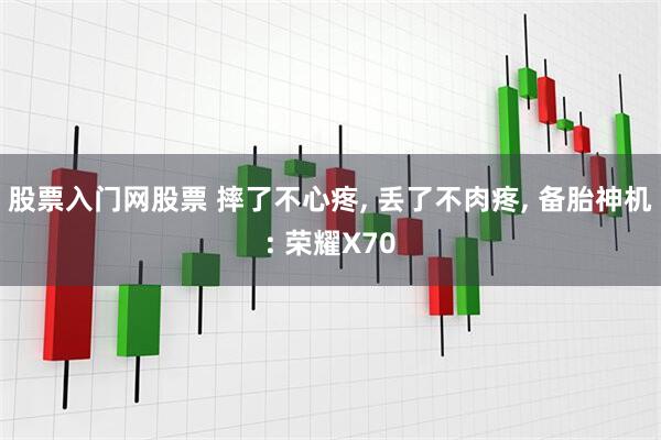 股票入门网股票 摔了不心疼, 丢了不肉疼, 备胎神机: 荣耀X70