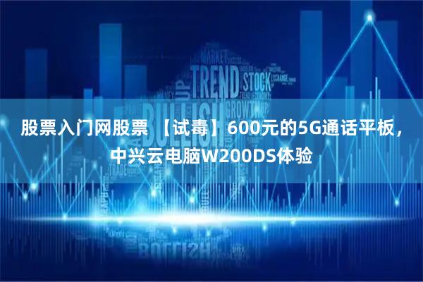 股票入门网股票 【试毒】600元的5G通话平板，中兴云电脑W200DS体验