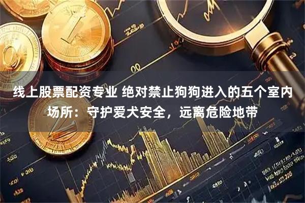 线上股票配资专业 绝对禁止狗狗进入的五个室内场所：守护爱犬安全，远离危险地带
