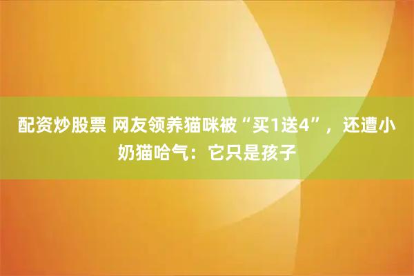 配资炒股票 网友领养猫咪被“买1送4”，还遭小奶猫哈气：它只是孩子