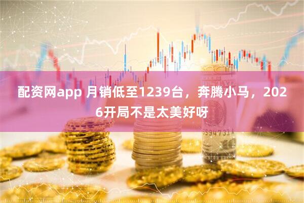 配资网app 月销低至1239台，奔腾小马，2026开局不是太美好呀