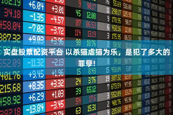 实盘股票配资平台 以杀猫虐猫为乐，是犯了多大的罪孽!