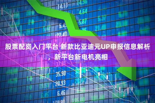 股票配资入门平台 新款比亚迪元UP申报信息解析，新平台新电机亮相